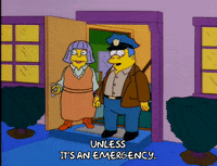 season 8 police GIF