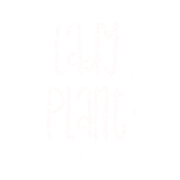 Plant Asthetic Sticker