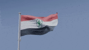 Arabgif GIF
