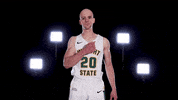 Mens Basketball GIF by Wright State University Athletics
