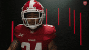 Football Dc GIF by XFL