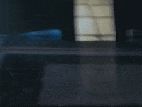 Footage Oaf GIF by jorgemariozuleta