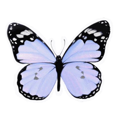 Sdesignworks new women fly fresh Sticker