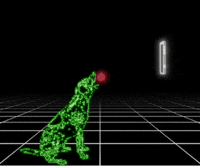 Social Media Love GIF by PERFECTL00P