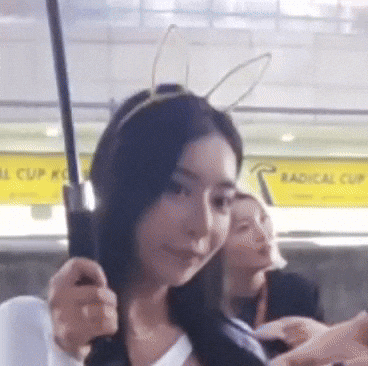 Model GIF