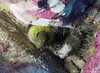 Marine Life Ocean GIF