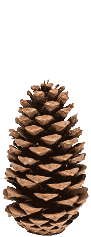 Collage Cycle Sticker by dailyformat