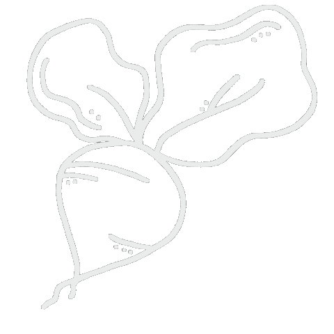 Beet Grow Sticker by adis