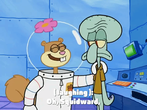 season 4 GIF by SpongeBob SquarePants