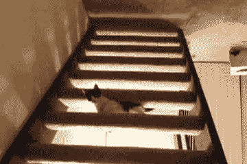 heaven stairway GIF