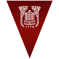 Pennant Chs Sticker by College of Charleston