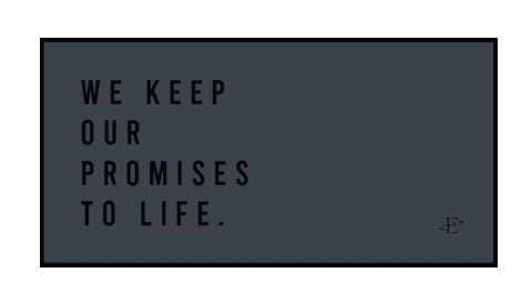 Life Edan Sticker