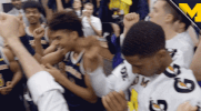 Go Blue New York City GIF by Michigan Athletics