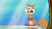 season 9 episode 10 GIF by SpongeBob SquarePants