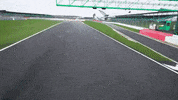 Driving Formula 1 GIF by Mercedes-AMG Petronas Formula One Team