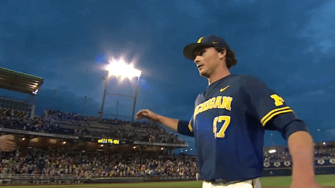 umichathletics giphygifmaker hug henry michiganbaseball GIF