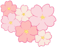 Cherry Blossom 桜 Sticker