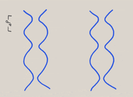 cell ucla GIF by University of California