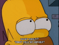 homer simpson episode 22 GIF