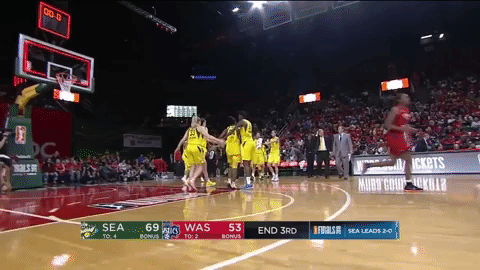 lets go storm GIF by WNBA