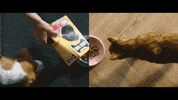 GIF by LoudMouth Film