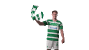 Football Soccer Sticker by SpVgg Greuther Fürth
