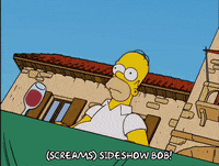 homer simpson GIF