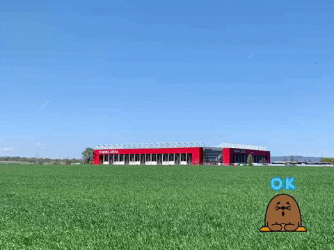 vertikalpass giphyattribution GIF
