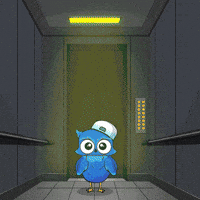 Crypto Levitating GIF by BigBrains