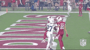 Look Up Arizona Cardinals GIF by NFL