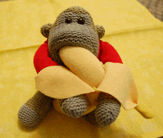 monkey eating GIF by Zackary Rabbit