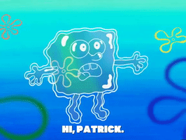 season 5 GIF by SpongeBob SquarePants