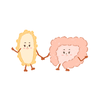 17beautyhouse probiotic probiotics allergies digestion Sticker