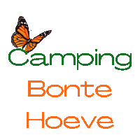 bontehoev bontehoeve camping bontehoeve woord bontehoeve oranje groen bontehoeve Sticker