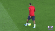 ligue 1 soccer GIF by Toulouse Football Club