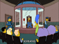 homer simpson omg GIF