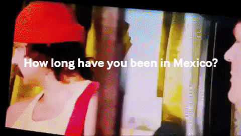 bradh65 giphygifmaker cheech and chong mexican border GIF