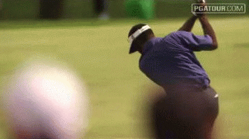 dustin johnson no GIF