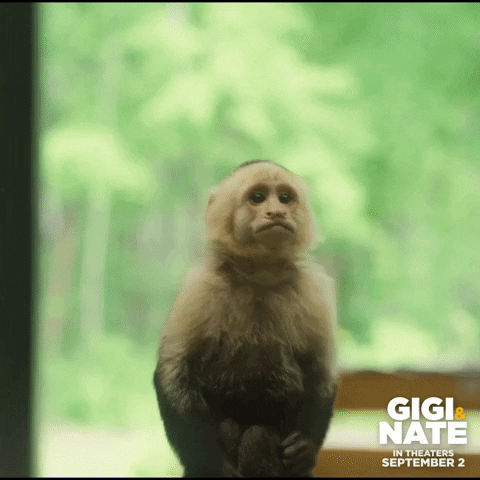 GigiAndNateMovie hello hi wave monkey GIF