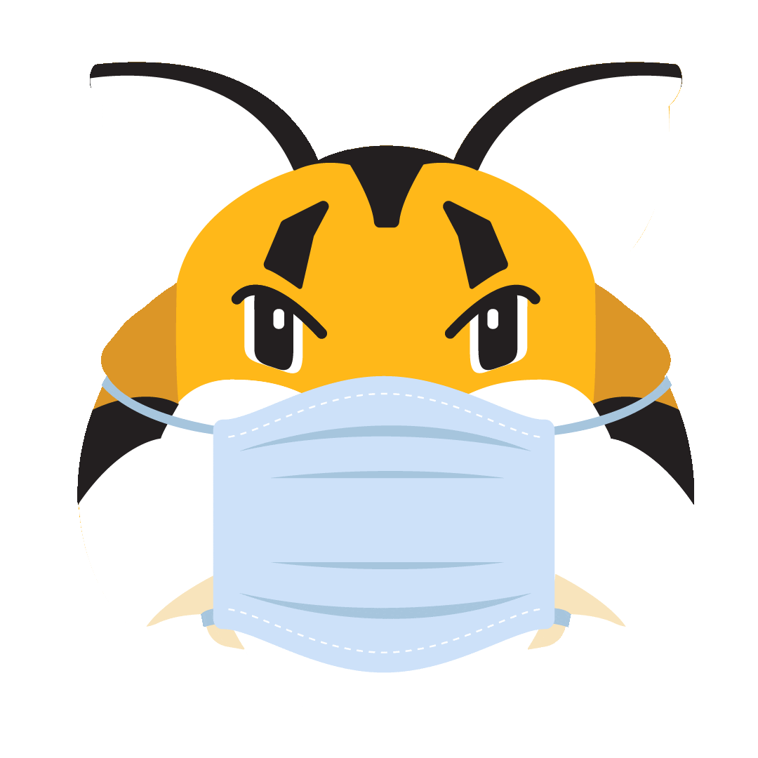 College Mask Sticker by Quinnipiac University
