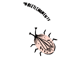 defycommunity sticker defy womxn peachbaby Sticker