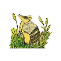 Colombia Fauna Sticker by Fundación Omacha