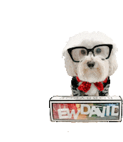 Leave Me Alone Dogs Sticker by HammyandBrody