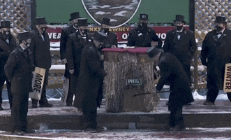 Groundhog Day GIF by GIPHY News