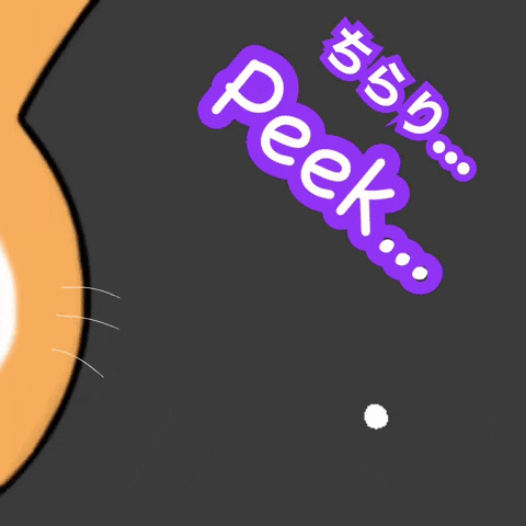 horseface19930912 giphyattribution peek のぞく mrbunny GIF