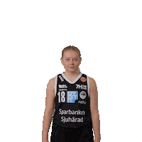 Basketball Sticker by Borås Basket