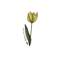 Porcos_com_asas love happy nature flower Sticker