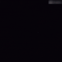 Rahul Gandhi India GIF