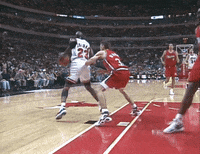 chicago bulls GIF