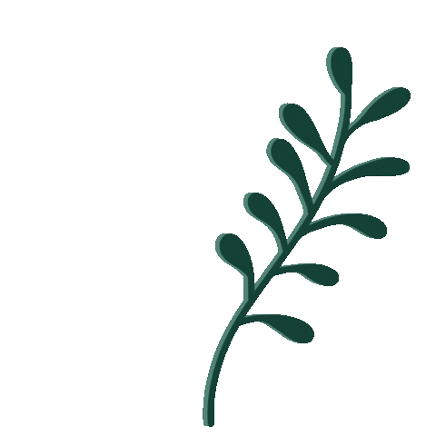 macaylakat green plant leaf leaves Sticker